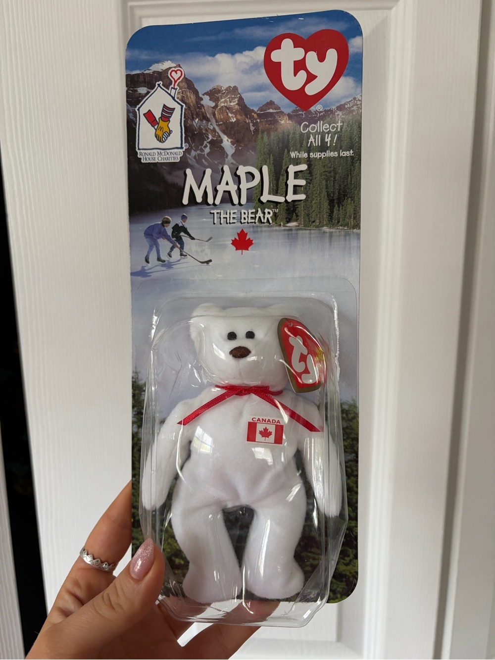 Maple the bear TY beanie baby
